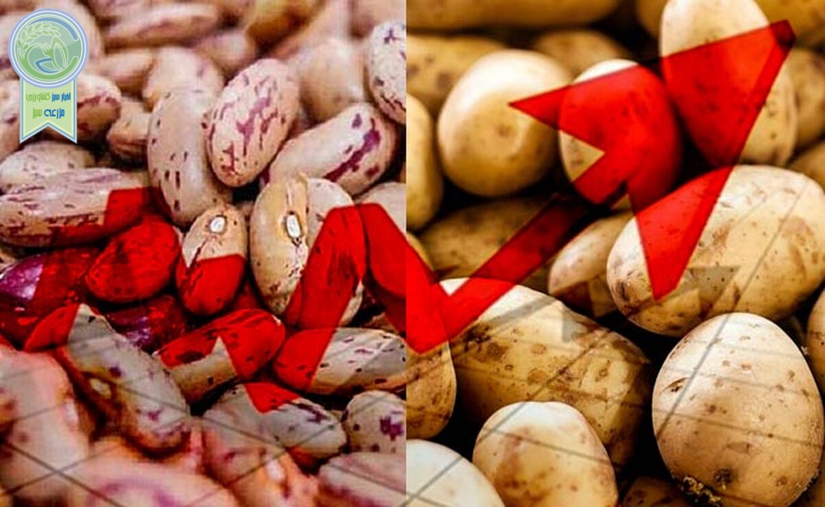 قیمت لوبیا چیتی و سیب زمینی رکورددار تورم غذا در ایران