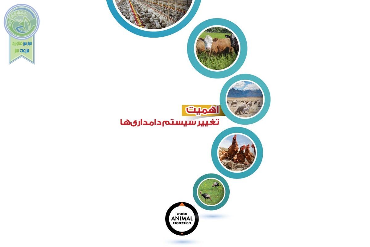 اهمیت تغییر سیستم دامداری‌ها

