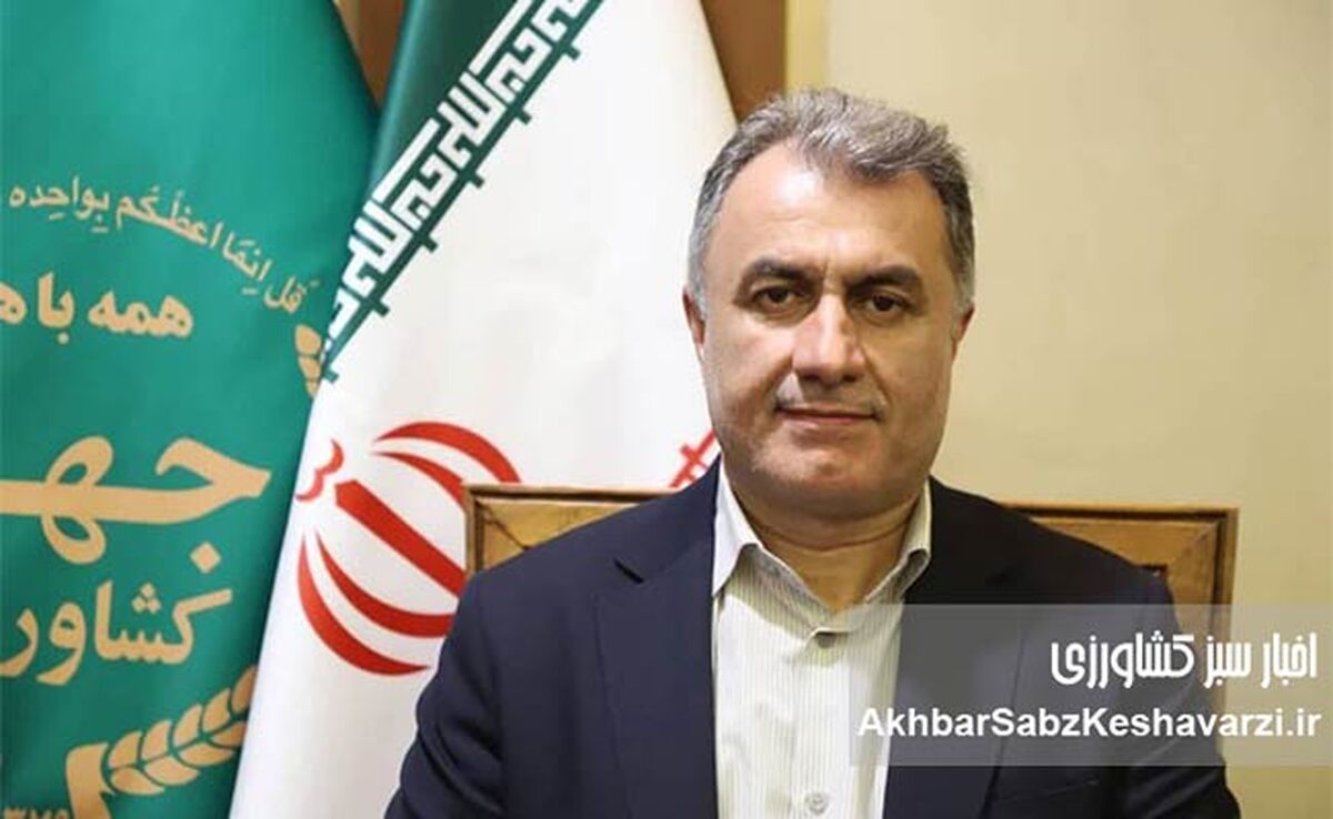 ​خوداتکایی مالی؛ اولویت جدید صندوق بیمه کشاورزی برای مدیریت ریسک

