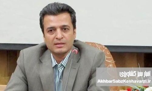 بازطراحی نظام مسئله ‌محور تحقیقات کشاورزی ایران برای خلق ارزش و تولید دانش‌بنیان: با تأکید بر توسعه کشاورزی پایدار

