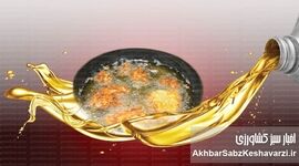 قیمت جدید روغن اعلام شد؛ نرخ بطری ۸۱۰ گرمی چقدر شد؟
