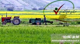 سه چالش اساسی بخش کشاورزی ایران از زبان سرشماری عمومی کشاورزی در سال ۱۴۰۳
