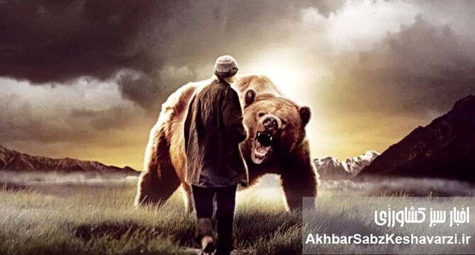 مردی که خواست خرس باشد؛ روایتی تکان‌دهنده از «مرد گریزلی»