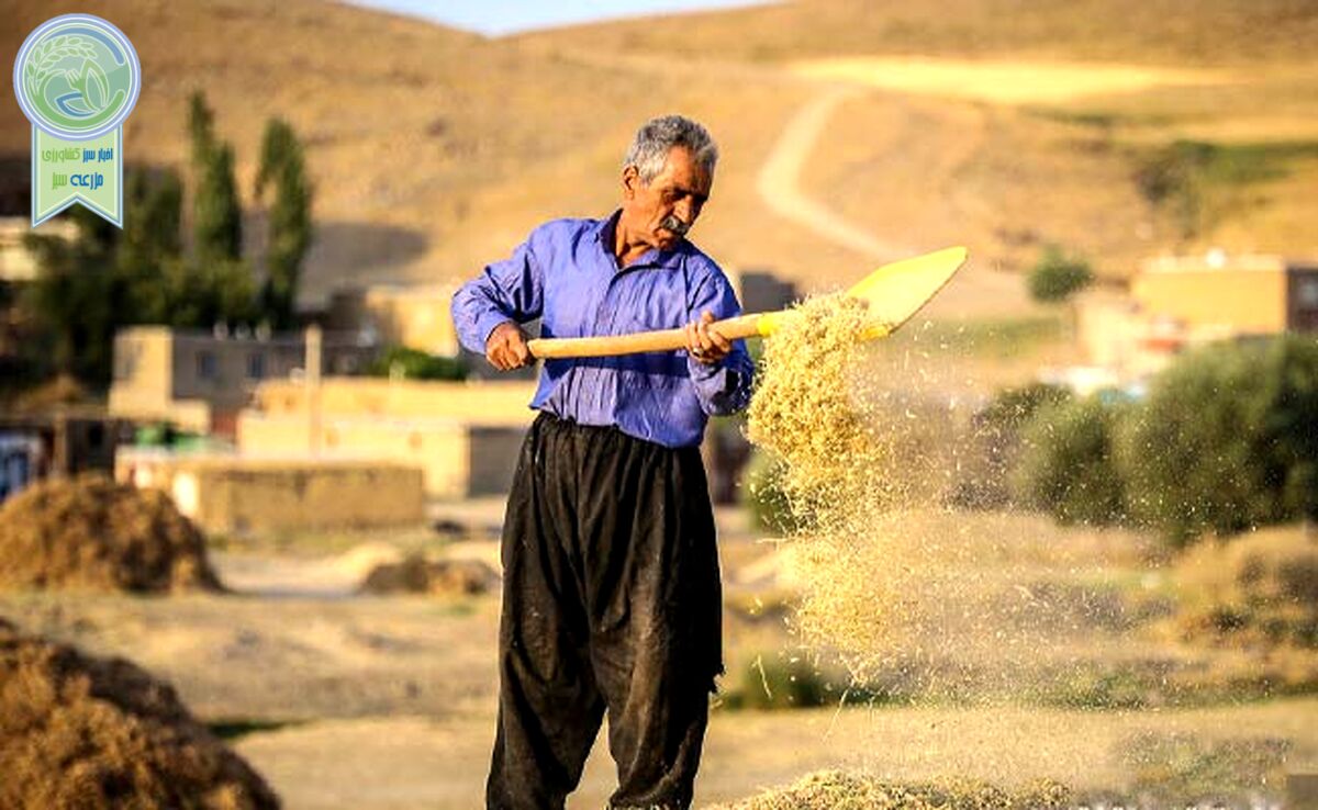 احیای دیمزارها با فناوری‌های نوین

