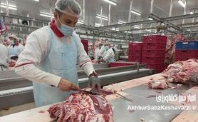 آرامش در بازار دام و گوشت؛ پیش‌بینی ثبات قیمت‌ها
