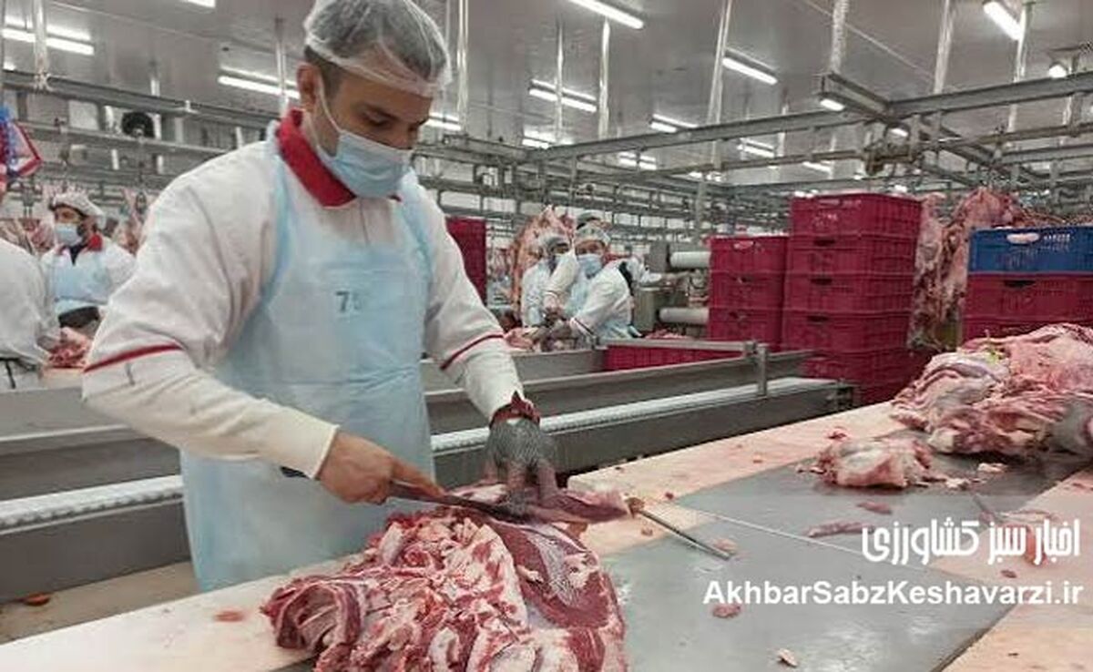 آرامش در بازار دام و گوشت؛ پیش‌بینی ثبات قیمت‌ها
