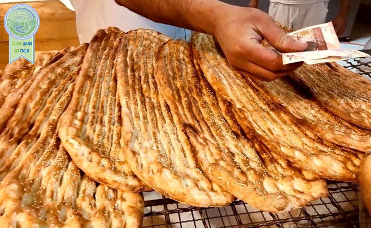 دولت با گران شدن نان موافقت کرد+فیلم

