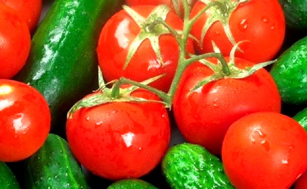 آشوب گوجه‌فرنگی و خیار در بازار 

