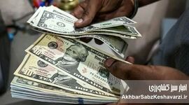 پرش ۶ هزار تومانی قیمت دلار؛ عبور آرام از مرز ۱۸۸ هزار؟