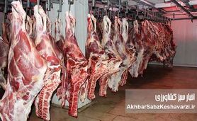 قیمت جدید گوشت در میادین تره بار تهران: فرصت خرید ۳۰ درصد ارزان‌تر