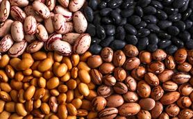 رفع محدودیت واردات حبوبات راهی برای کاهش قیمت


