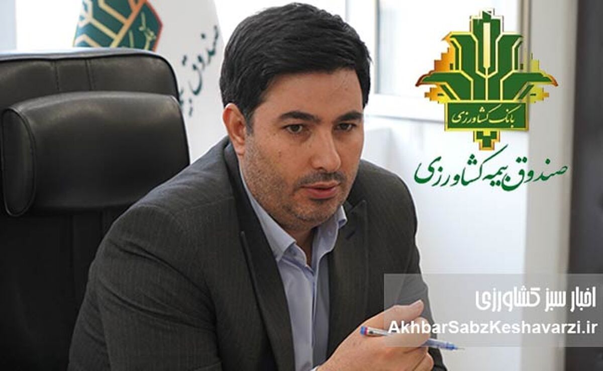 پژوهش، سنگ‌بنای تصمیم‌سازی علمی و توسعه پایدار