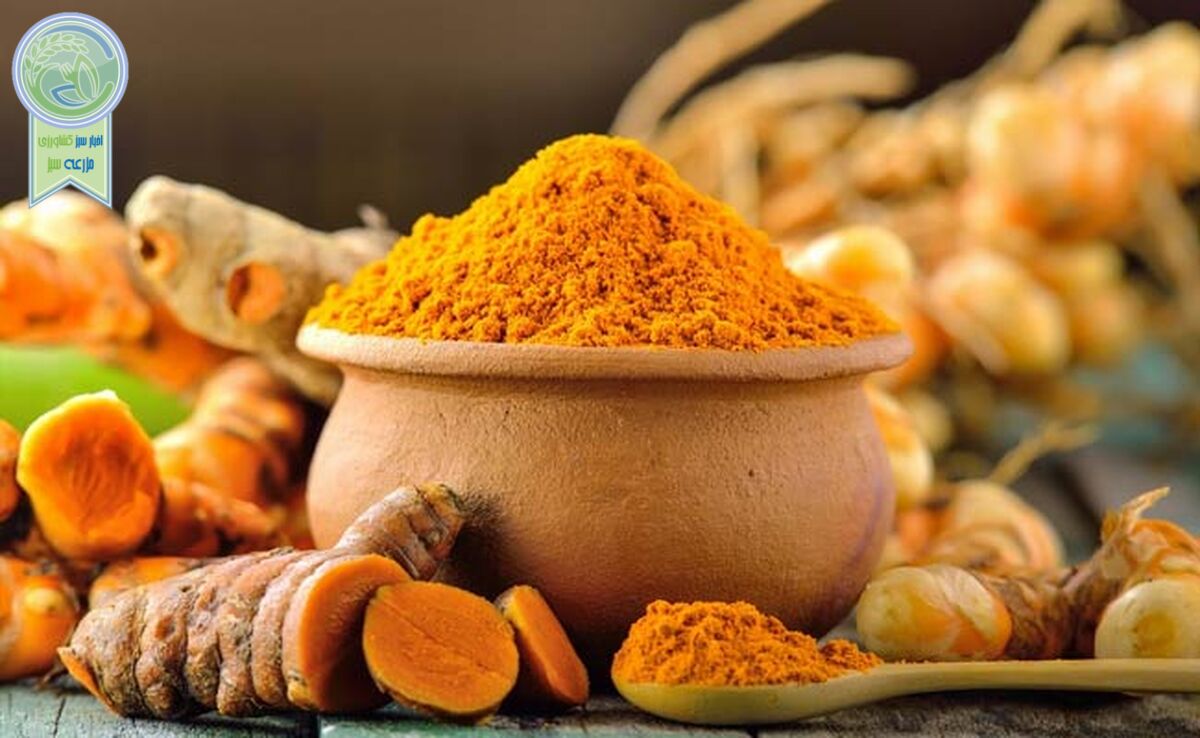 زردچوبه، درمانی طبیعی برای کبد چرب