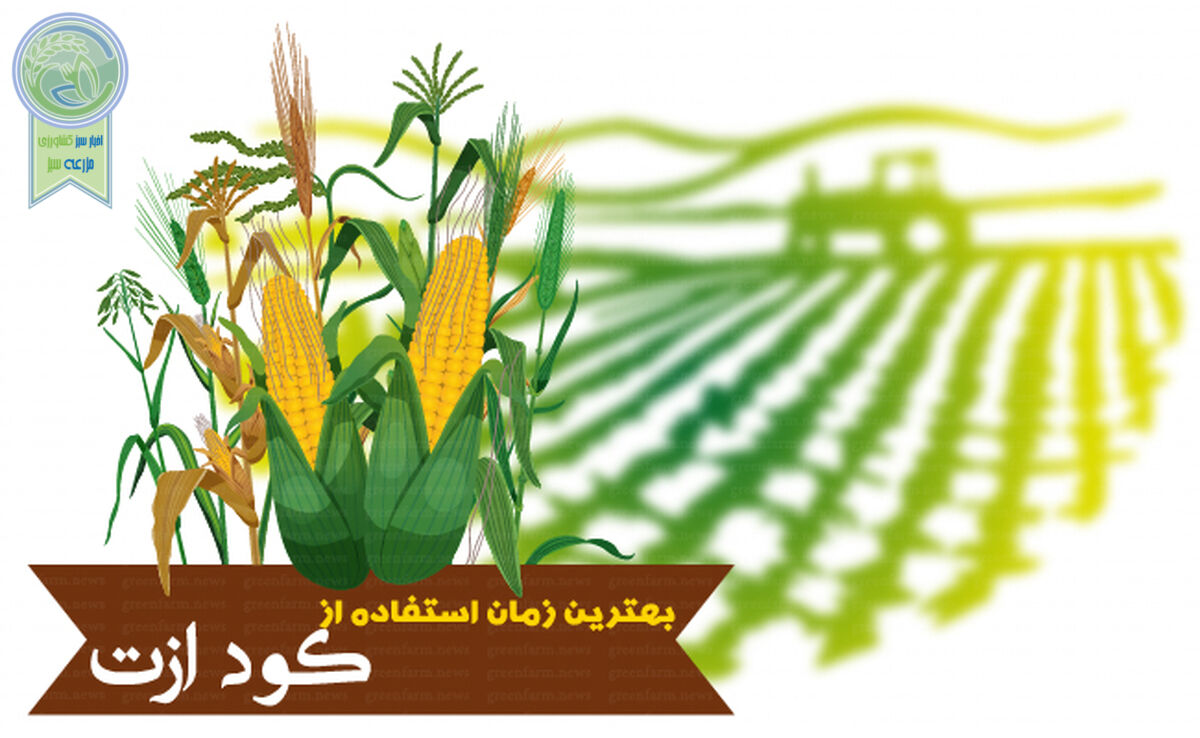 بهترین زمان استفاده از کود ازت


