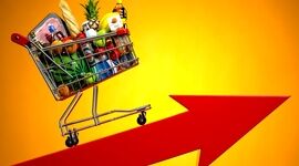 اینفوگرافی میزان افزایش قیمت کالاهای مهم خانوار
