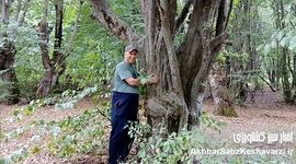 تنوع زیستی بی‌نظیر در پارک جنگلی هیرکانی النگدره گرگان+ویدئو