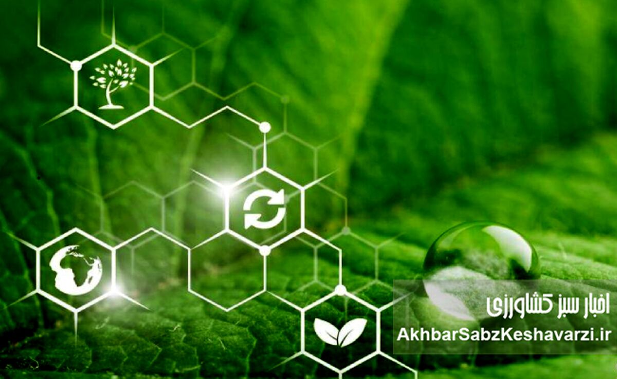 وقتی شیمی سبز به کمک کشاورزی می‌آید