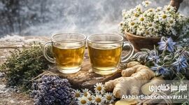 گیاهانی که در زمستان به داد بدن انسان می‌رسند