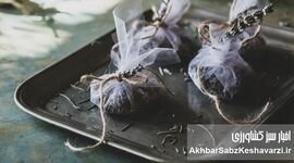 ۵ روش طبیعی برای خوشبو کردن خانه در گرمای تابستان