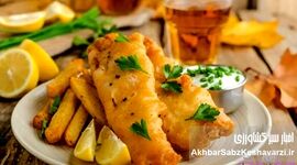 از کوبیده ماهی تا چیپس ماهی، مسیر تازه صنعت شیلات برای سلامت جامعه و توسعه بازار