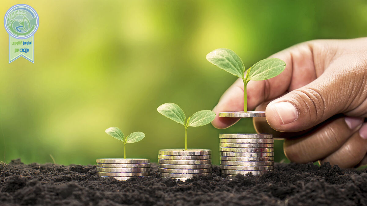 محافظت بیمه کشاورزی از تولیدکنندگان در برابر خسارات تغییرات اقلیمی

