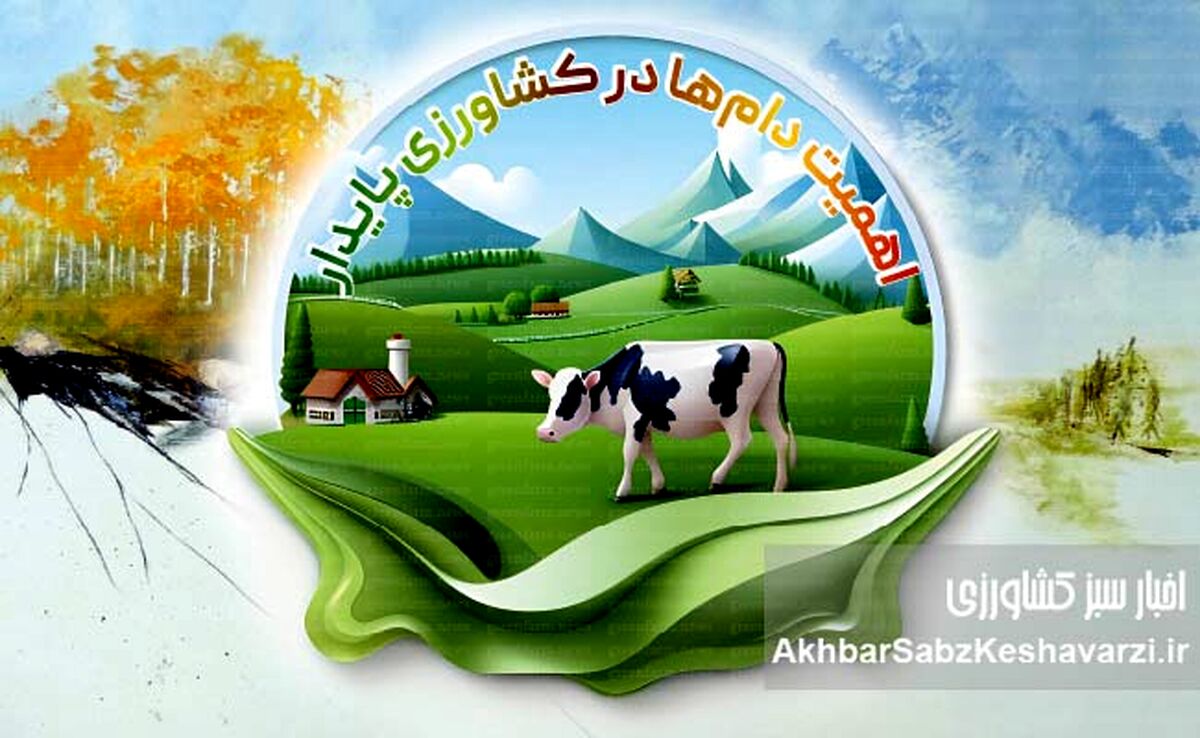اهمیت دام‌ها در کشاورزی پایدار
