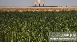 حراج حق‌الناس در خوزستان؛ عوارض آلایندگی صرف حقوق شد!