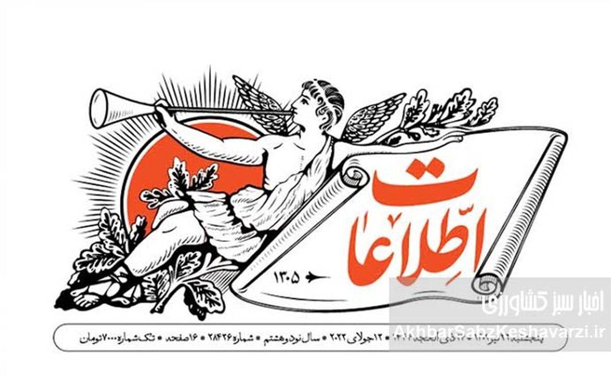 فروش دلار به مردم؛ راهکار اقتصادی یا بنزین روی آتش تورم؟