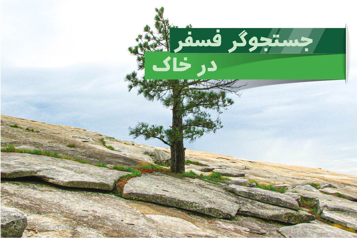 نقش فسفر در رشد و نمو گیاهان چیست؟

