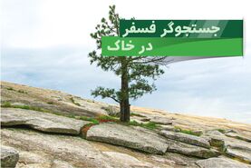 نقش فسفر در رشد و نمو گیاهان چیست؟

