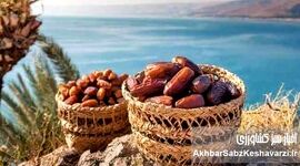 خواص انواع خرما: راهنمای جامع برای انتخاب بهترین خرما