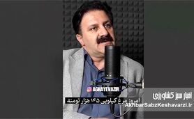 کابوس «بازارگاه»: چگونه رانت دولتی قیمت مرغ را از ۷۴ به ۱۴۵ هزار تومان رساند؟+ویدئو