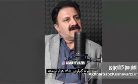 کابوس «بازارگاه»: چگونه رانت دولتی قیمت مرغ را از ۷۴ به ۱۴۵ هزار تومان رساند؟+ویدئو