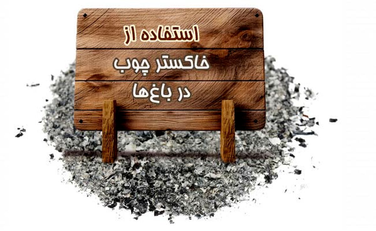 استفاده از خاکستر چوب در باغ‌ها+اینفوگرافی


