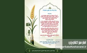 تبریک روز جهانی مطبوعات؛ ارج‌گذاری به رسالت اصحاب رسانه در پاسداشت حقیقت و آگاهی