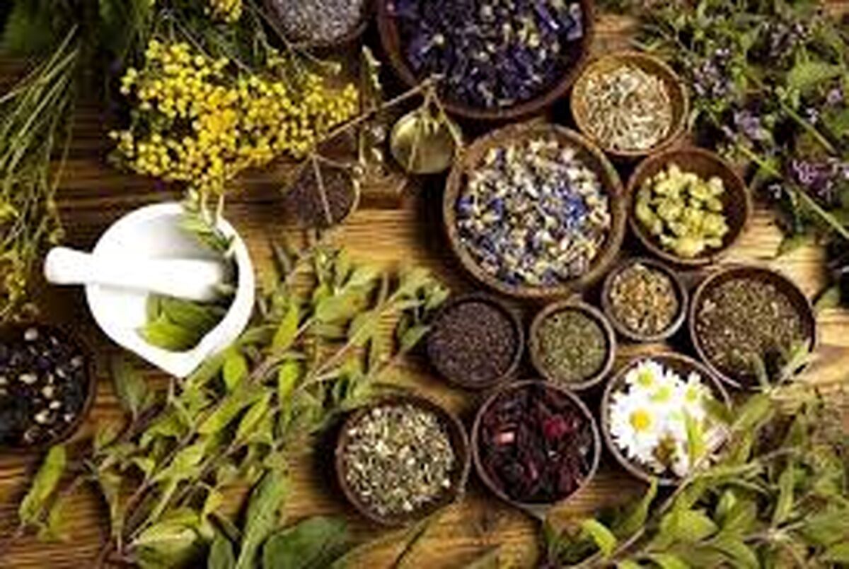 نقشه راه سرمایه‌گذاری در گیاهان دارویی؛ پرسودترین گونه‌ها با مصرف آب حداقلی