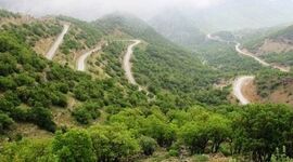 تناقض و سردرگمی در مدیریت زاگرس

