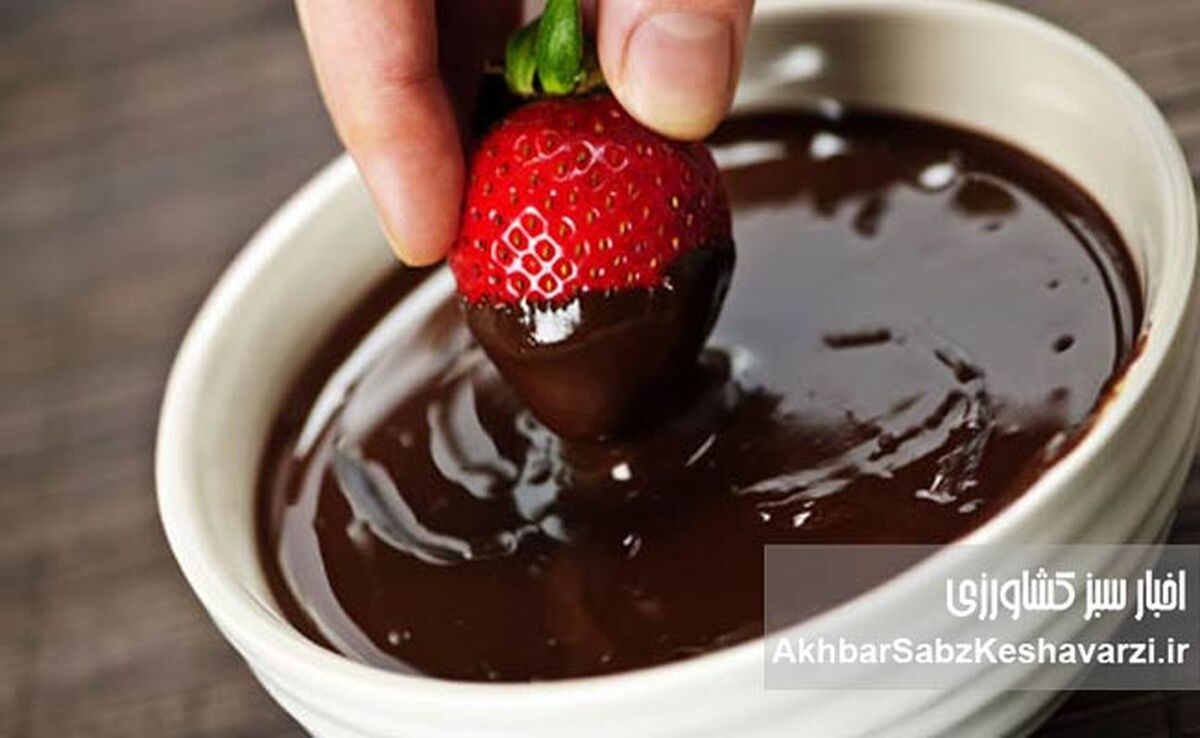 از دانه کاکائو تا برندهای معروف؛ رازهای جذاب صنعت شکلات جهان