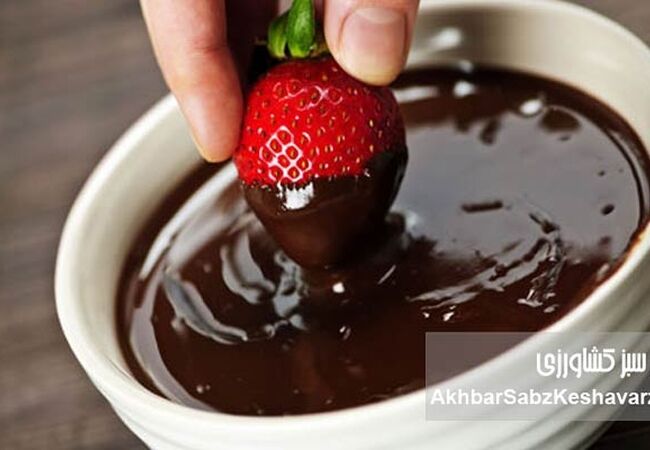 از دانه کاکائو تا برندهای معروف؛ رازهای جذاب صنعت شکلات جهان
