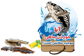 آیا خوردن ماهی موجب سلامتی است؟

