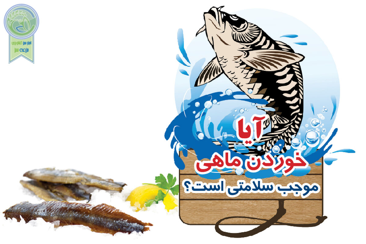 آیا خوردن ماهی موجب سلامتی است؟

