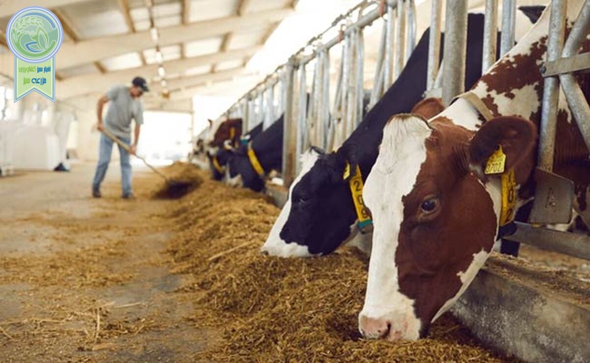 تقابل با صفر تا صد زنجیره ارزش 

