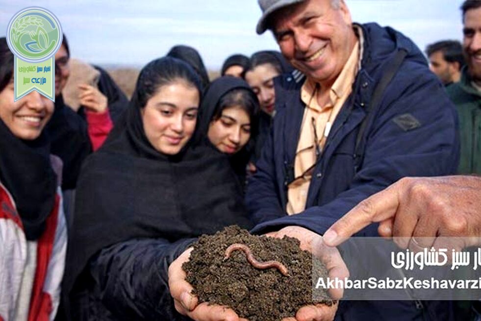 تنوع زیستی خاک؛ ارتش پنهان حیات و راه نجات کشاورزی آینده
