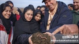 تنوع زیستی خاک؛ ارتش پنهان حیات و راه نجات کشاورزی آینده
