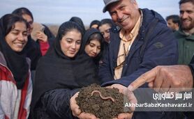 تنوع زیستی خاک؛ ارتش پنهان حیات و راه نجات کشاورزی آینده
