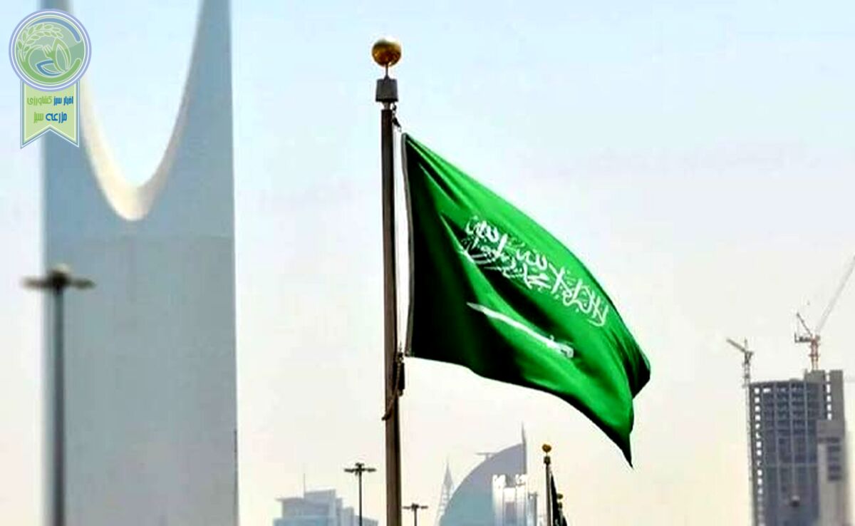 تلاش عربستان برای تبدیل شدن به ابر قدرت هوش مصنوعی


