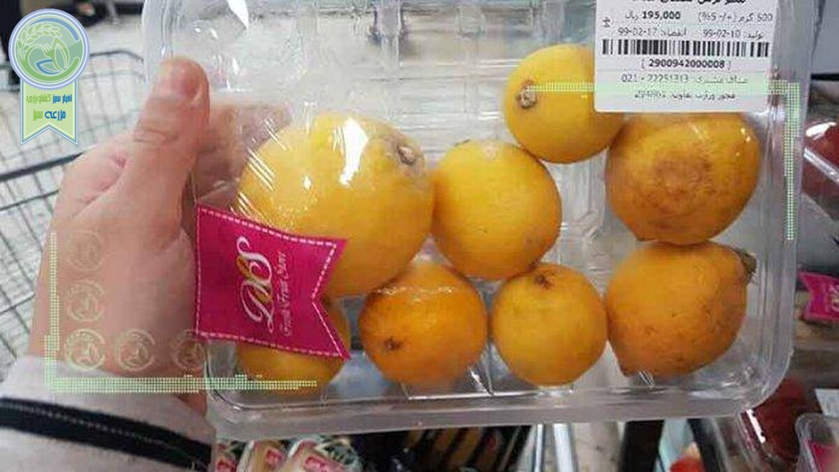دردسرهای شکل جدید درج قیمت روی کالاها