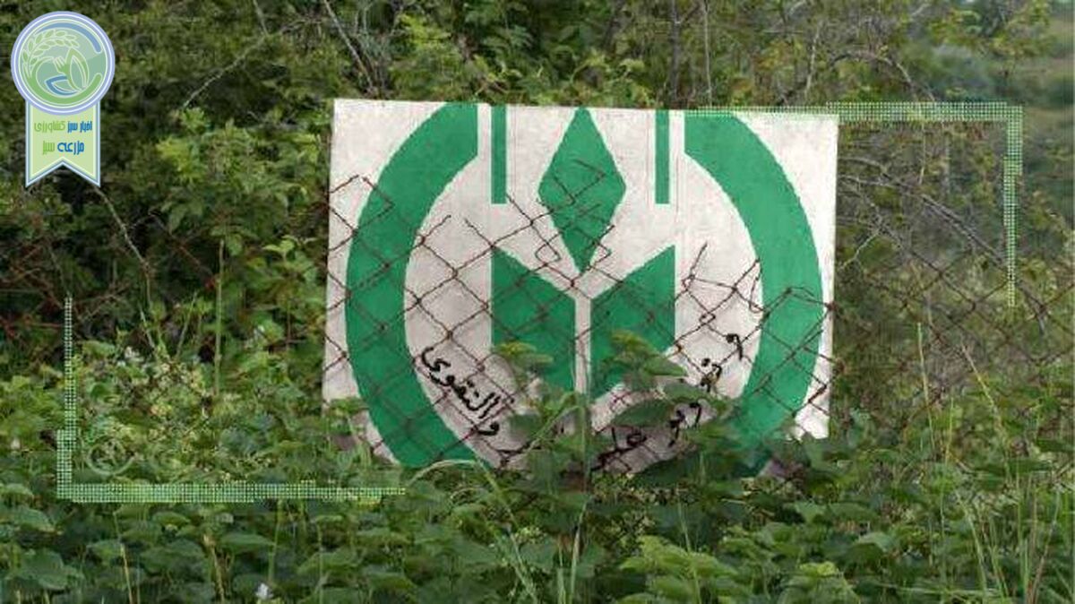 پوست خربزه زیر پای قرارگاه امنیت غذایی+سند