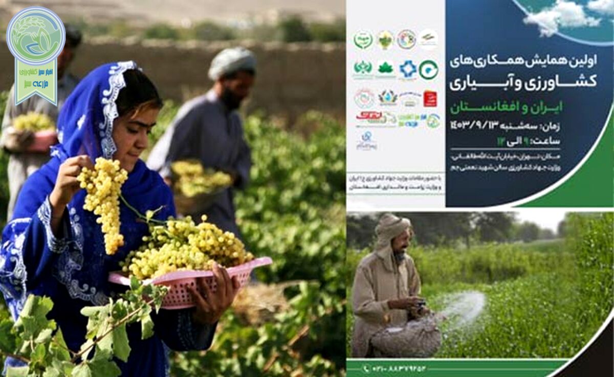 اولین همایش همکاری‌های کشاورزی ایران و افغانستان؛ 13 آذر 1403+ جزئیات

