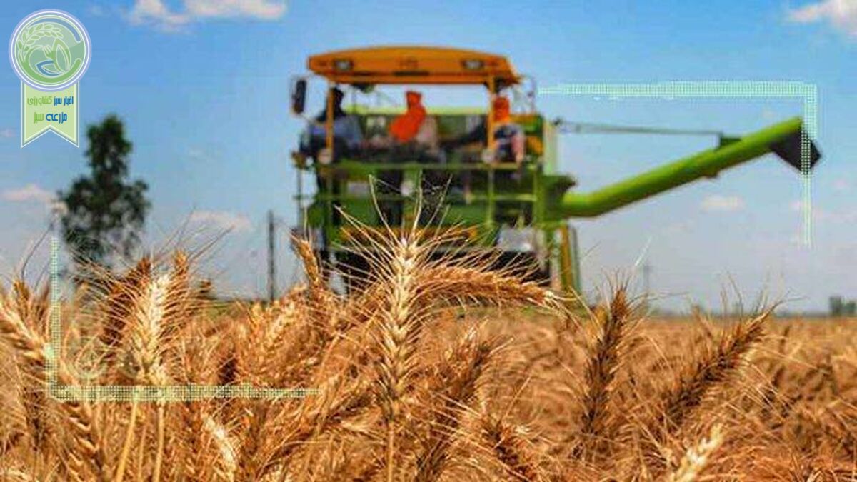 تولید یا حفظ منابع آبی، کدام راهبردی‌تر است؟
